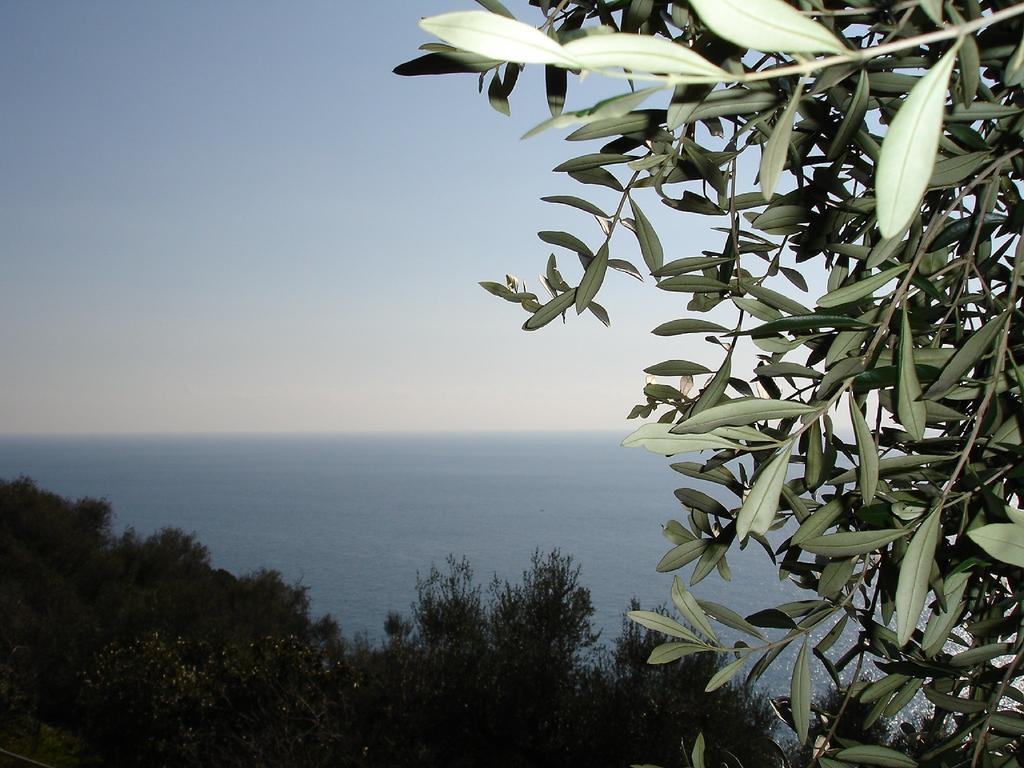 Villa Imperia Exteriér fotografie