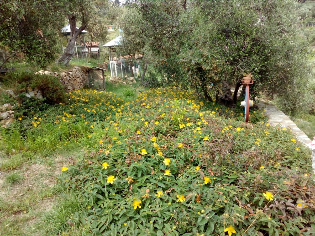 Villa Imperia Exteriér fotografie