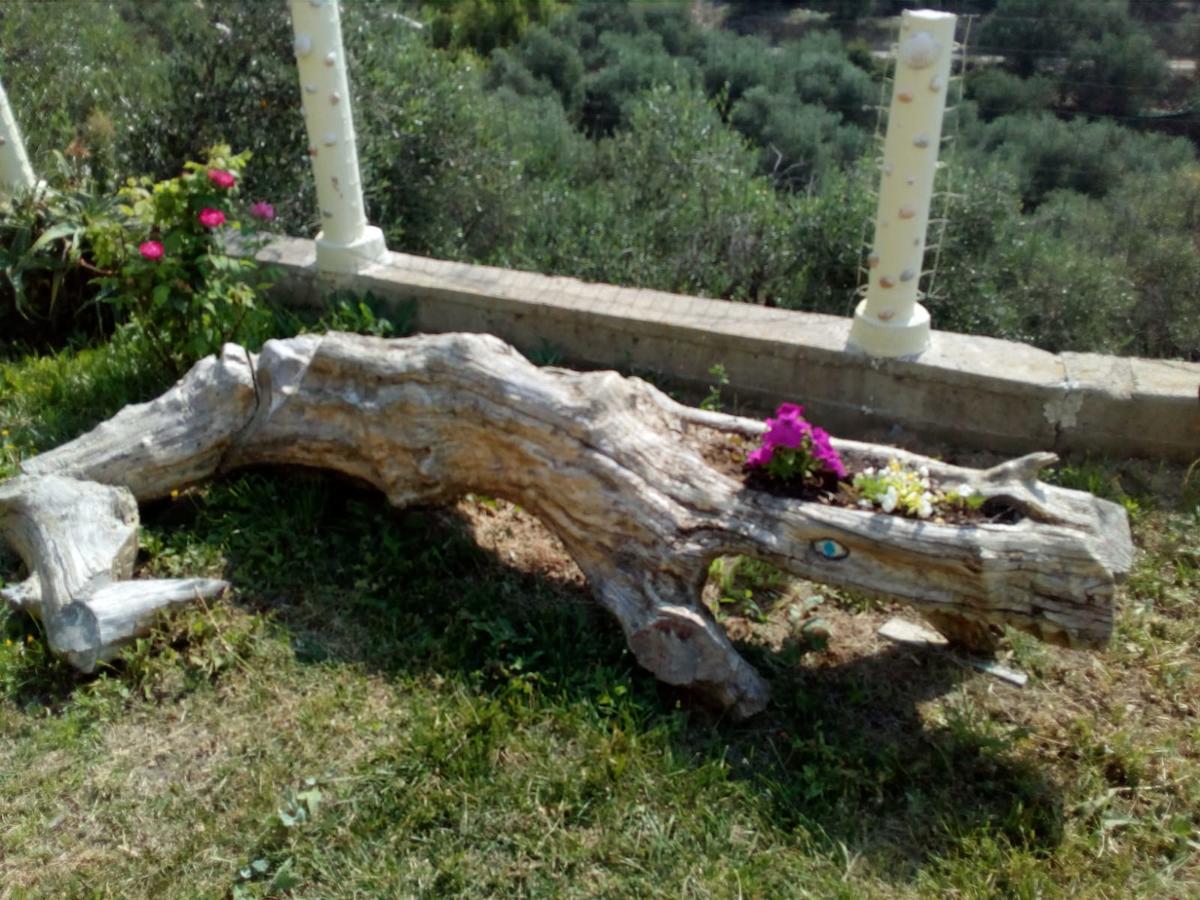 Villa Imperia Exteriér fotografie